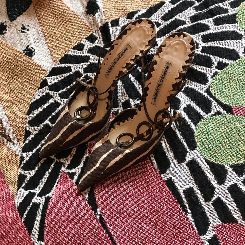 Zebra Manolo